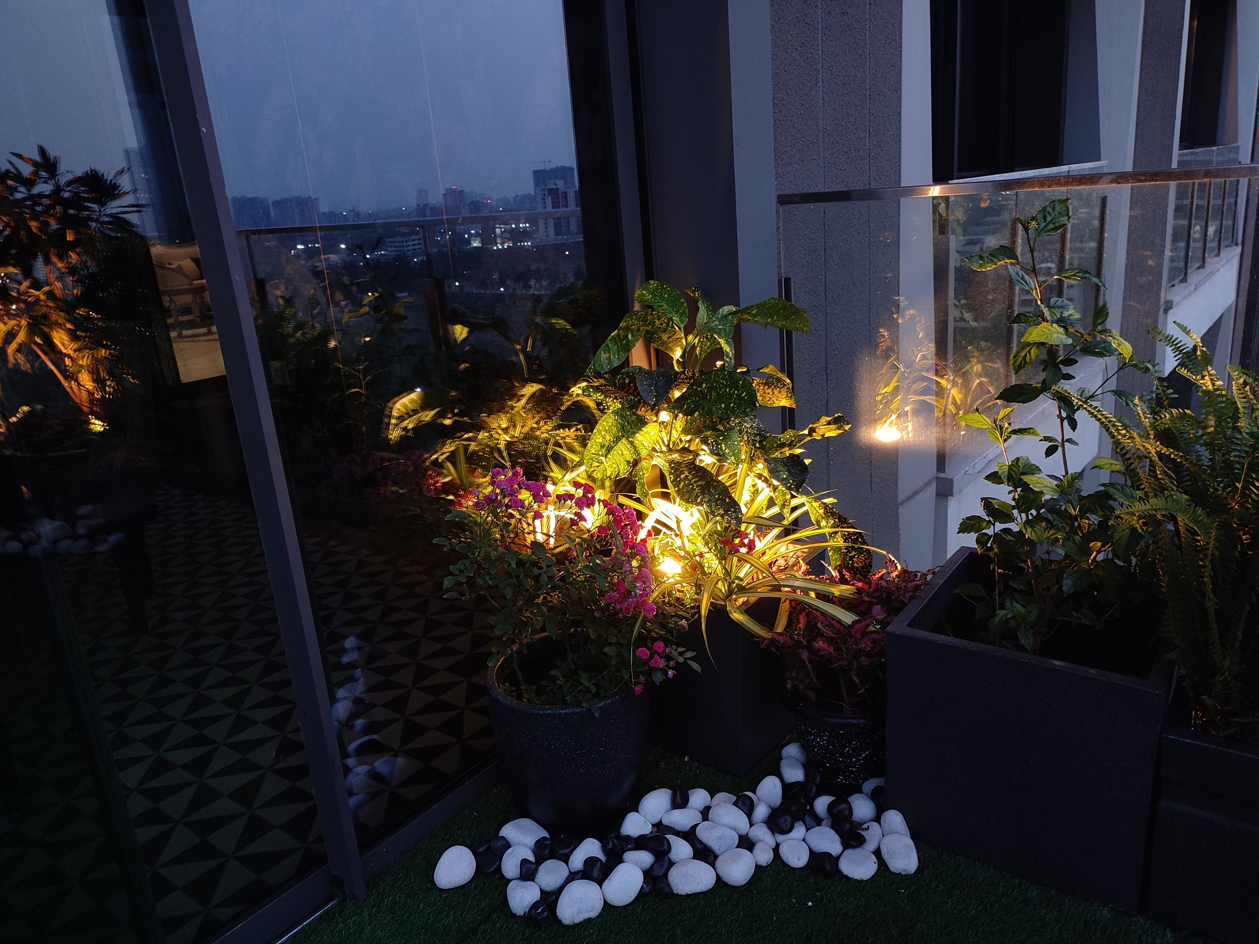 Balcony garden at night — Caladium and Coleus under string lights