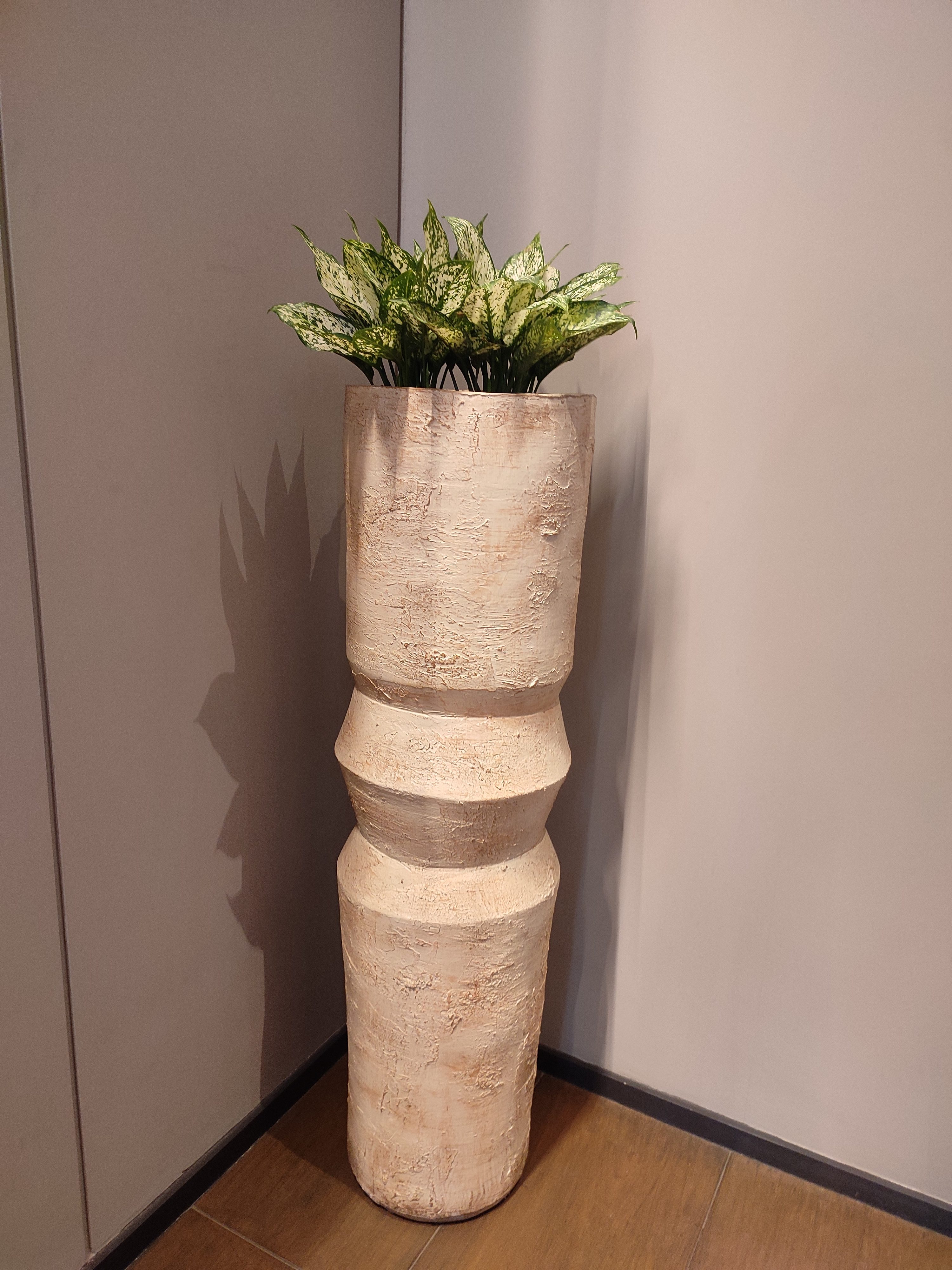 Den hall — Aglaonema in terracotta planter
