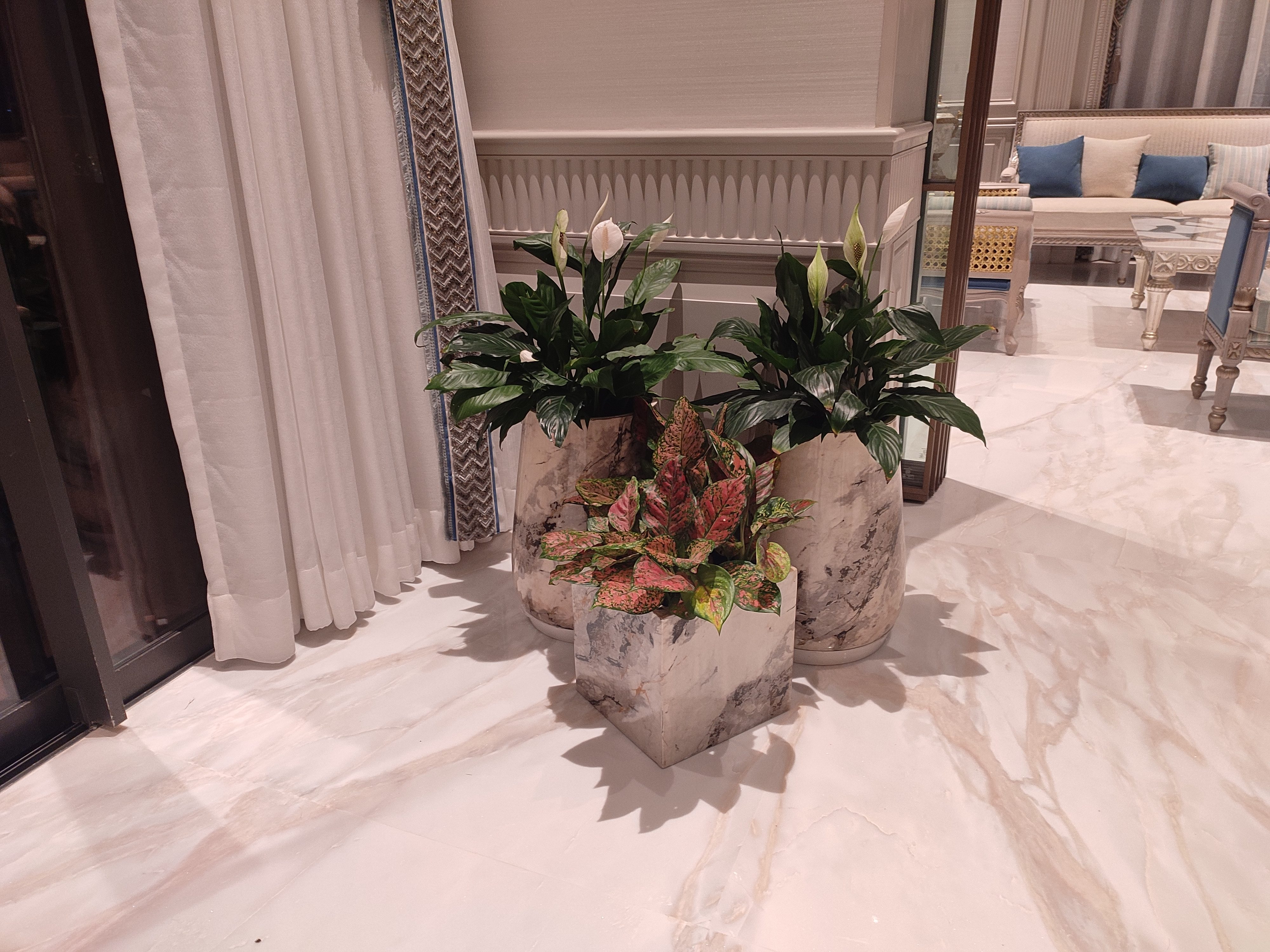 Living room — Peace Lilies and Aglaonema in marble-finish pots