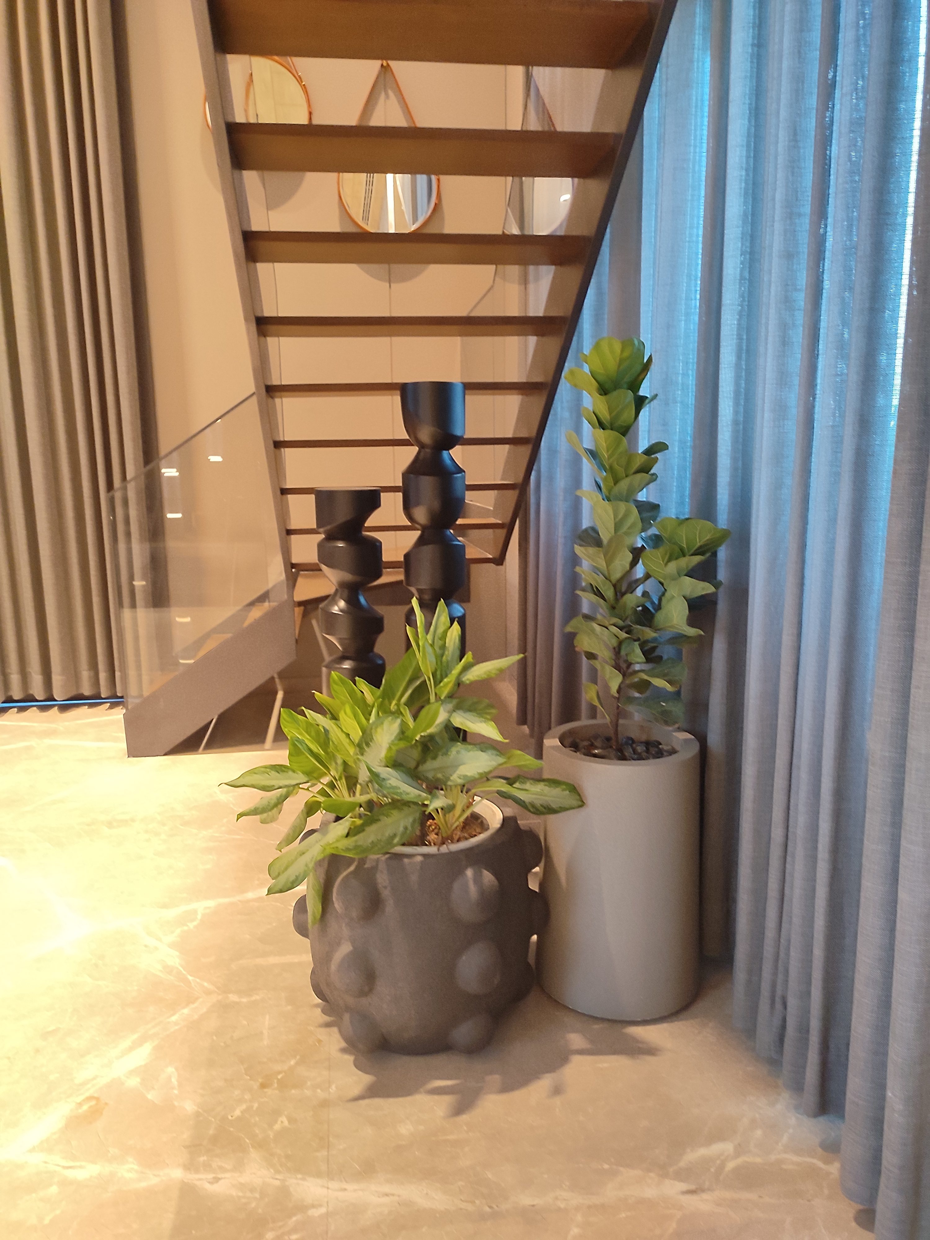Living room — ZZ Plant and Aglaonema beside the duplex staircase