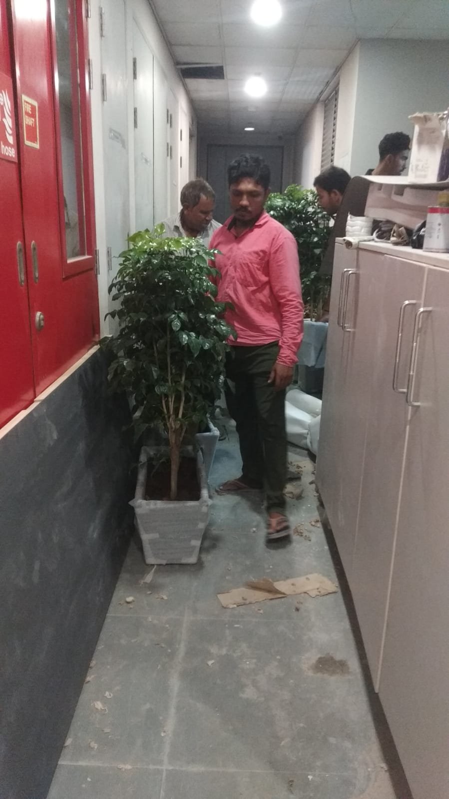 Karigars carrying plants through building corridor