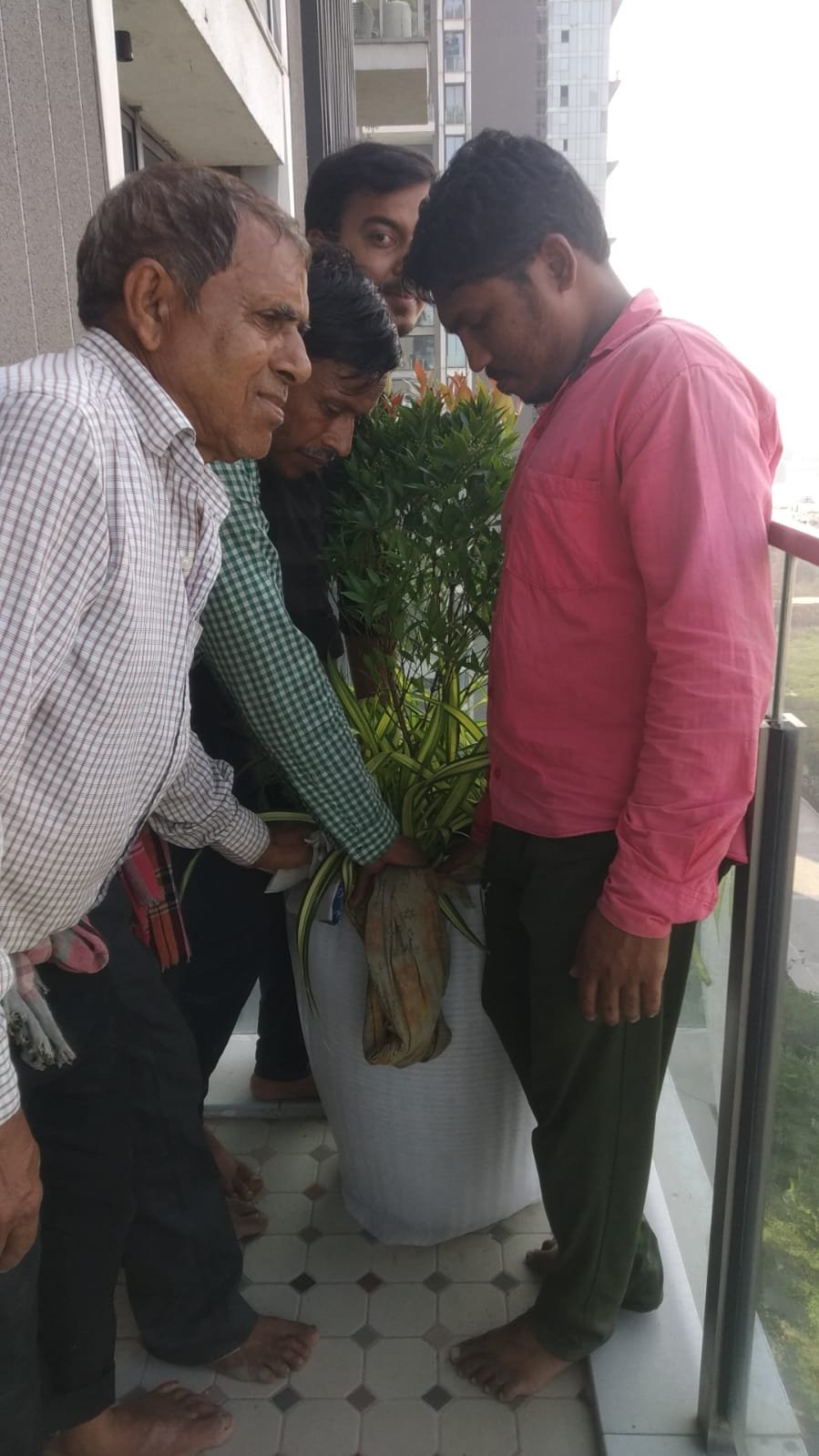 Karigars installing Bird of Paradise on the balcony