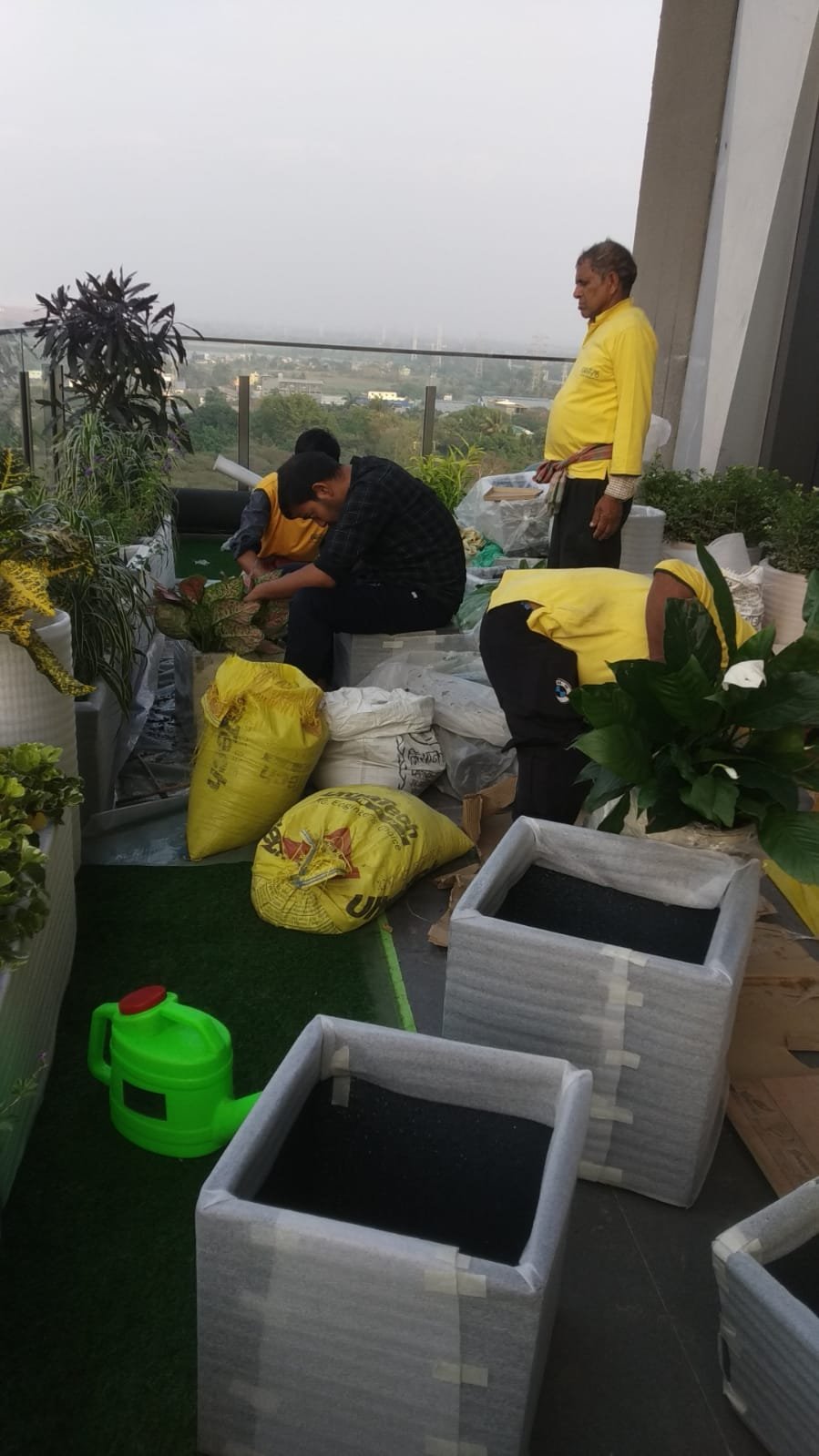 Workers laying green turf, filling soil, staging plants