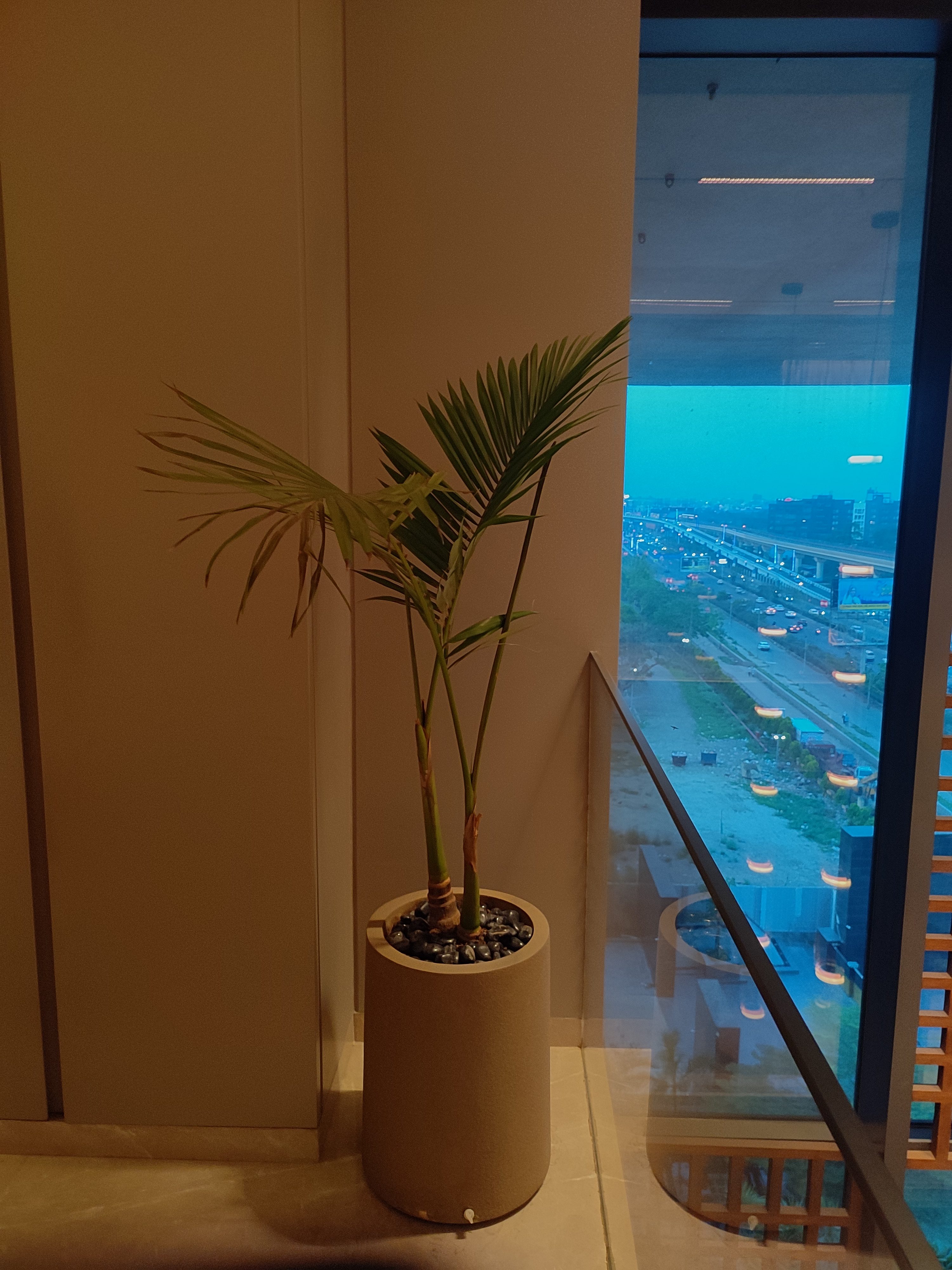 Staircase landing — Fan Palm on marble ledge