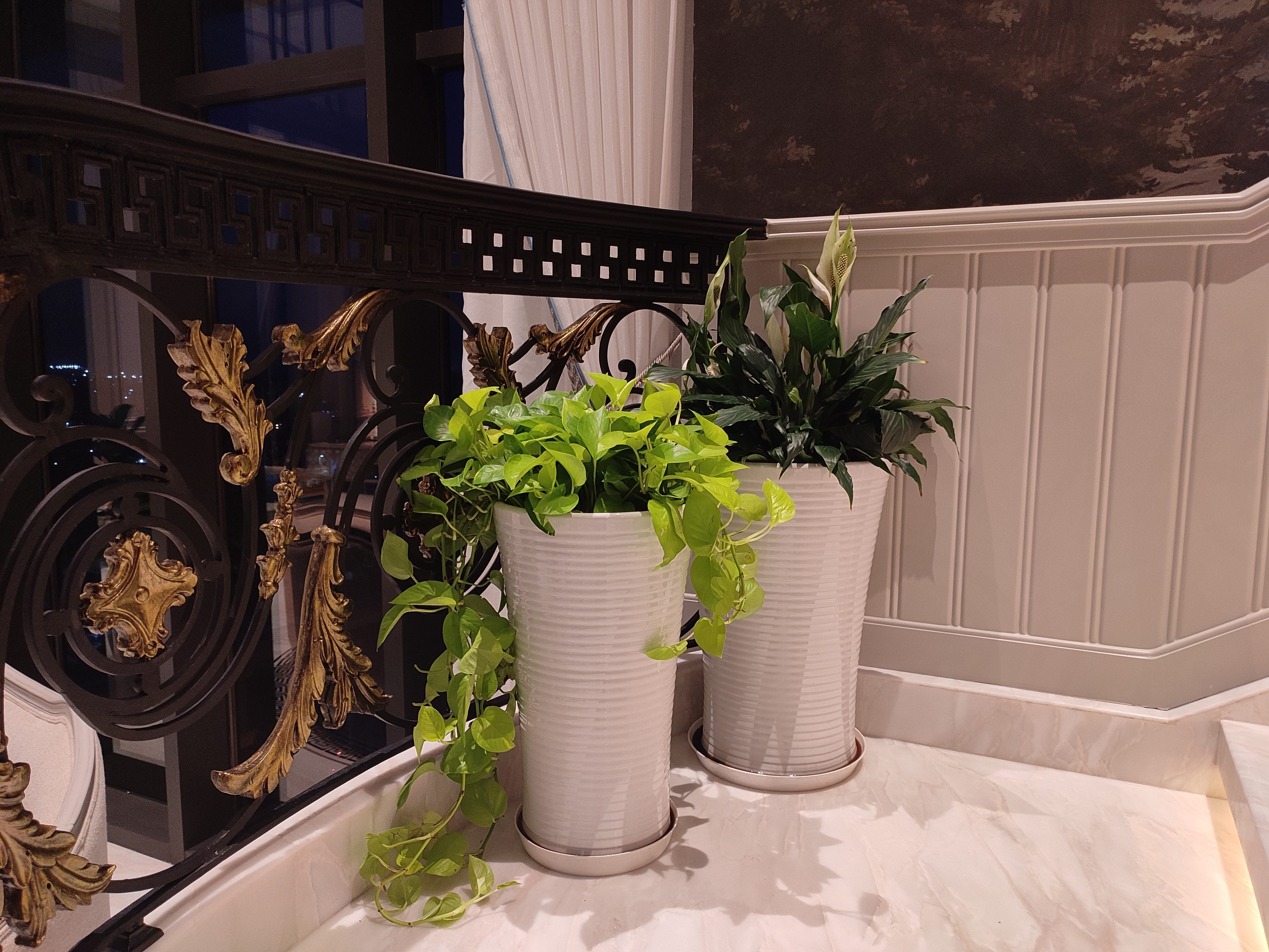 Staircase landing — Golden Pothos and Peace Lily in white ceramic