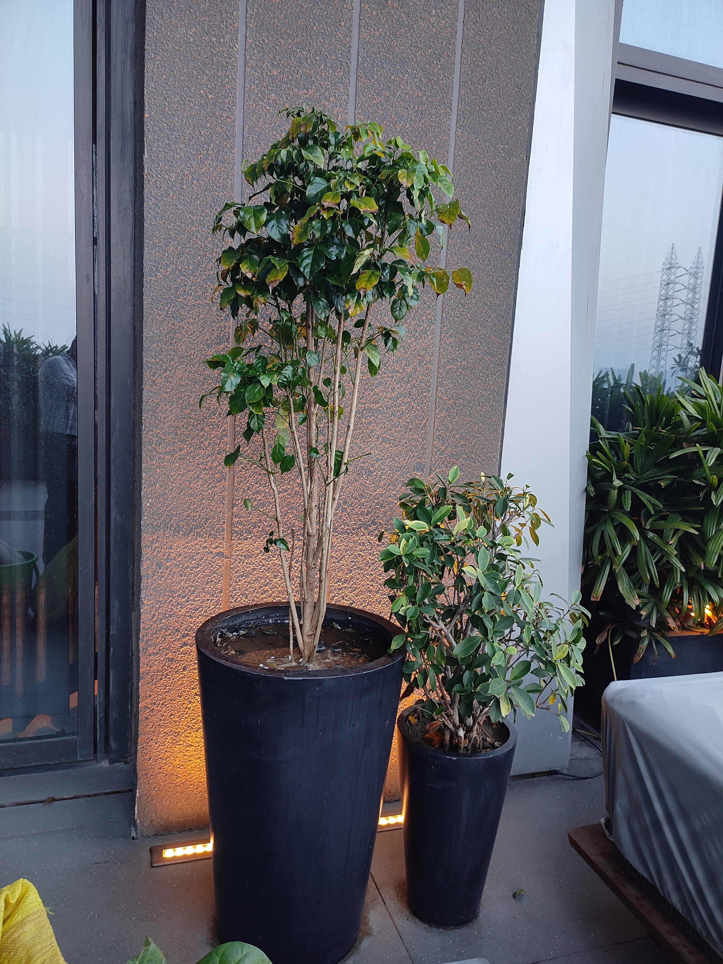 Terrace at dusk — tall planters with LED uplights