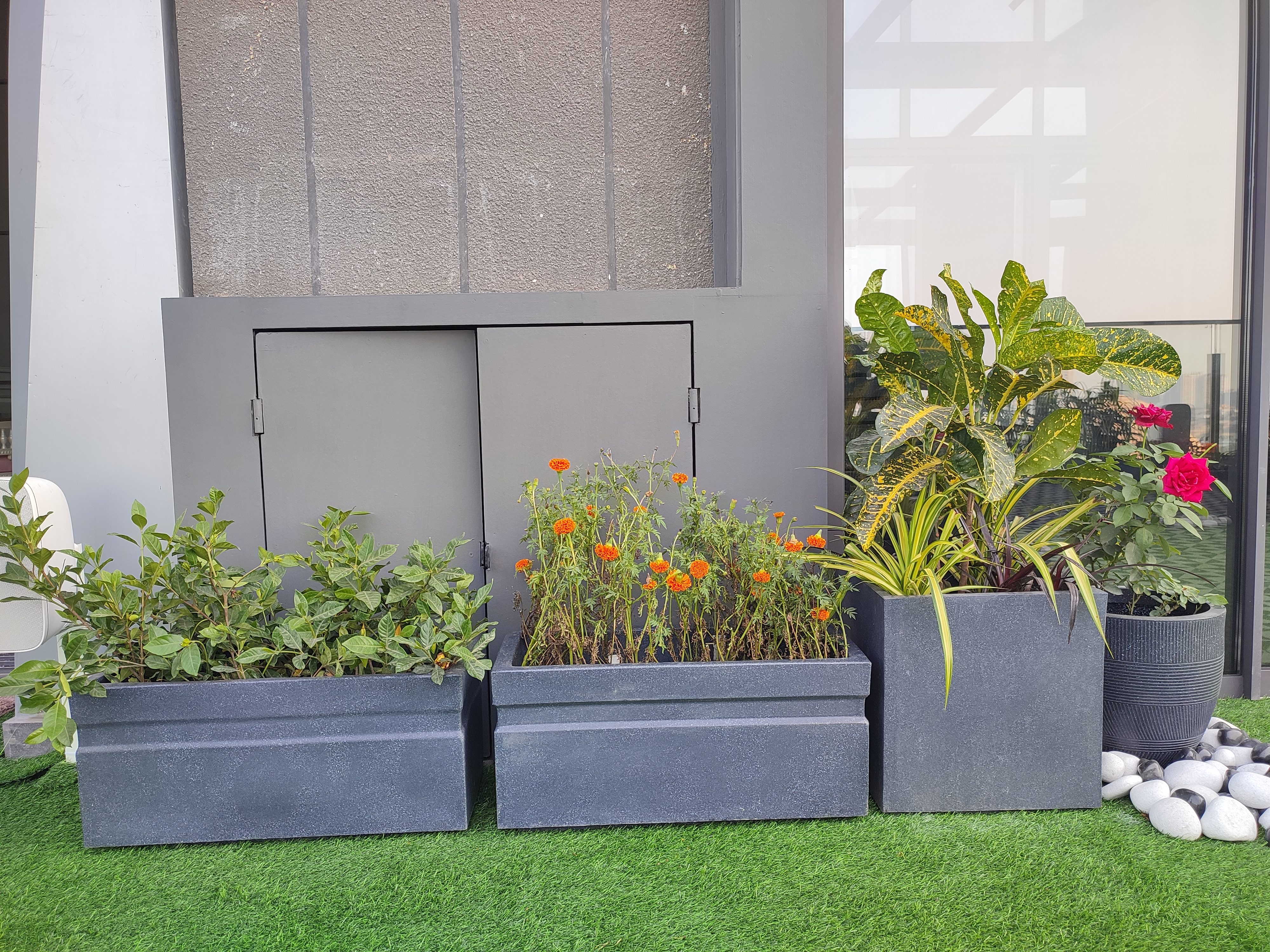 Wall-side planters — green shrubs, Marigolds, and tropical foliage